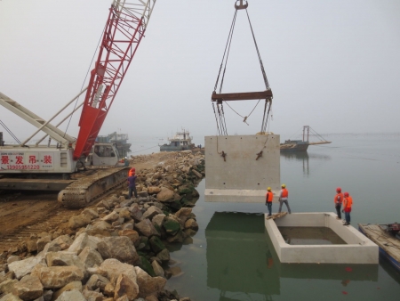 李琴码头建设项目报告表全本公示
